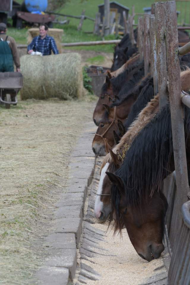 DSC_4925